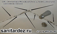 СЭС г. Электрогорск Московская область профессиональное уничтожение плесени
