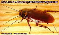 СЭС ЮАО г. Москва уничтожение тараканов 