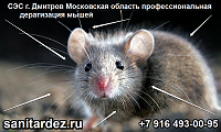 СЭС г. Дмитров Московская область профессиональная дератизация мышей