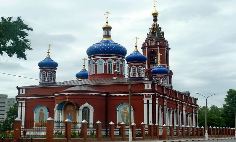 СЭС г. Орехово-Зуево Московская область профессиональная дезинсекция дератизация дезинфекция вредных насекомых уничтожение грибка и плесени.