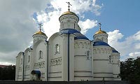 СЭС г. Воскресенск Московская область профессиональная дератизация дезинфекция дезинсекция насекомых уничтожение плесени и грибка.