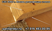 СЭС ЮАО г. Москва дезинсекция клопов